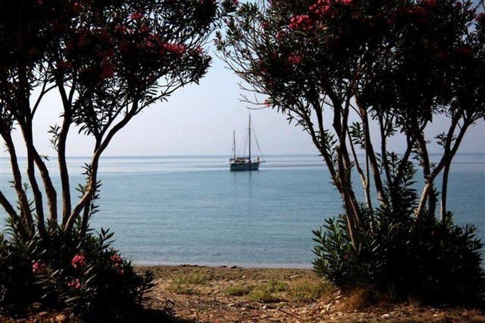 Dreams Beach Apartments Katelios Luaran gambar